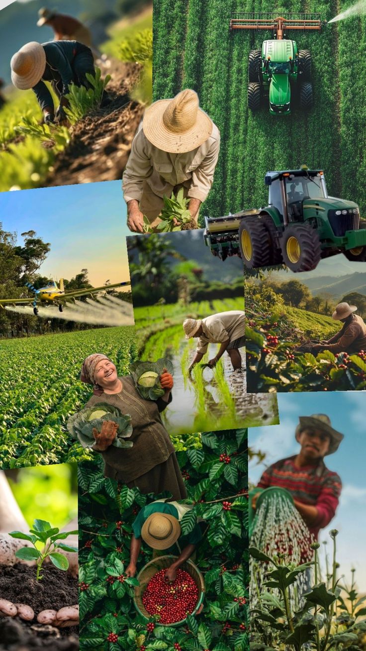 Fertilizers & Biostimulants